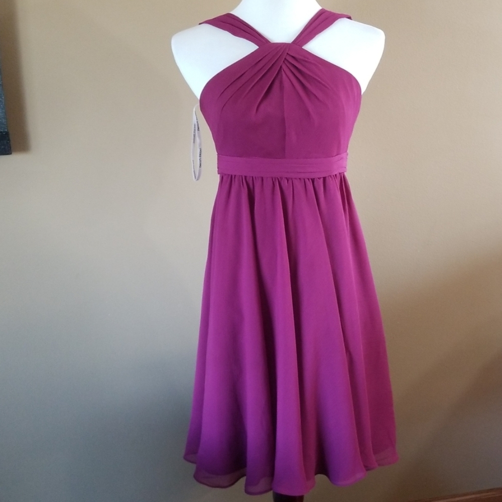 David's Bridal Bridesmaid dress